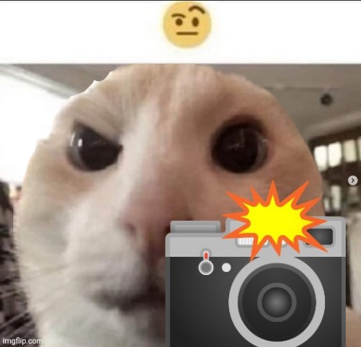 +get/+0ed2bb8b-3606-47ae-9ef4-8f27d0e48d11/koule