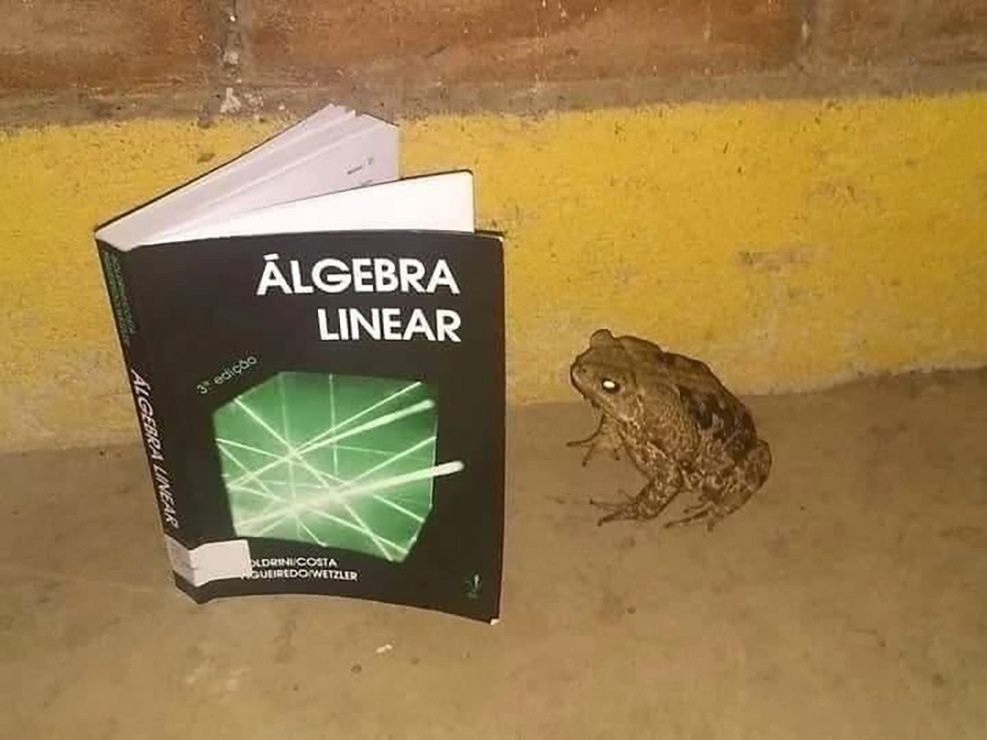 lineární algebra a žaba