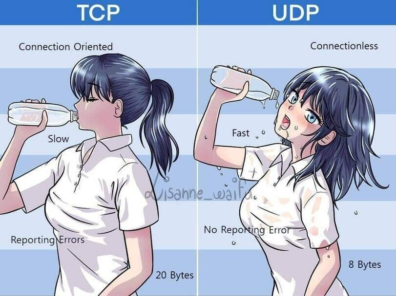 NSWI141/udp-tcp.jpg