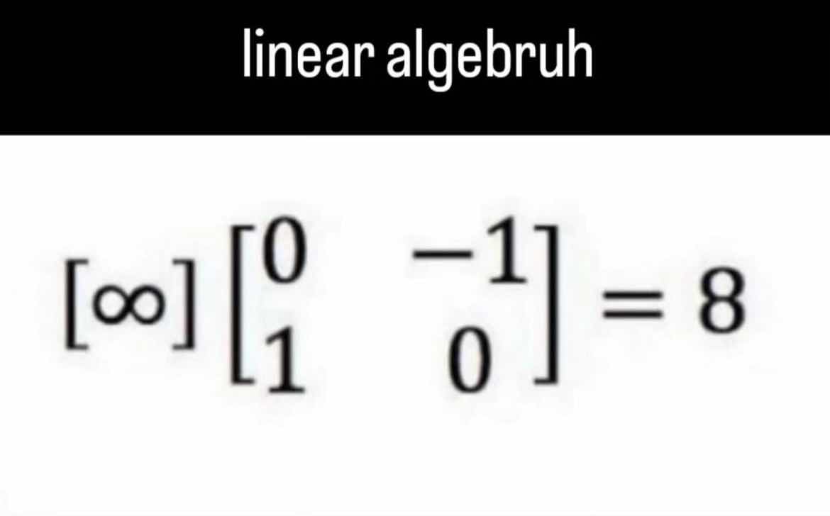lineární algebra a žaba