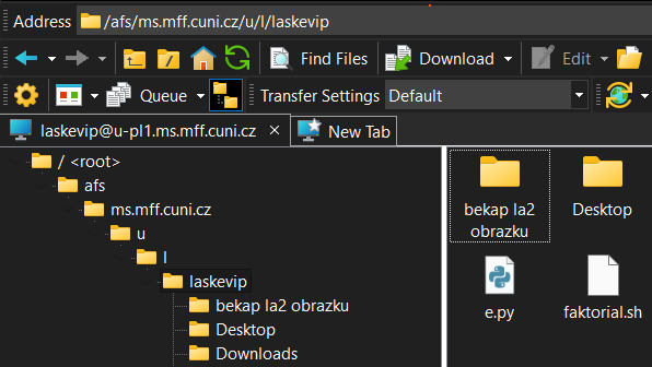 +get/+d93b95a0-9cd0-4013-8f4c-349d674766e7/Lab%20na%20Malé%20straně/disk_z_dalky_winscp.png