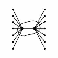 ZSV 4921028494756709267.jpg